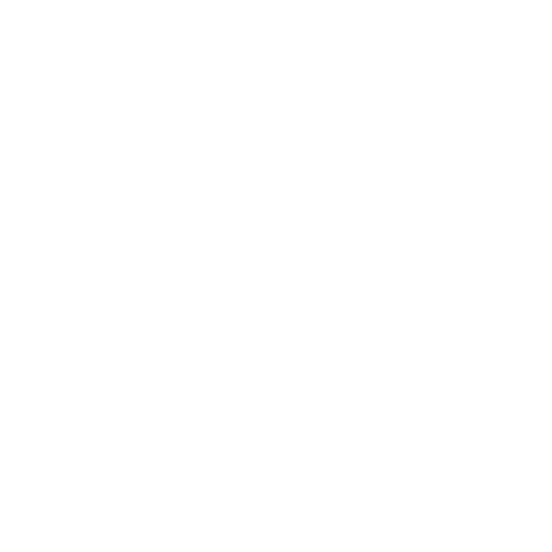 Roof Washing Icon.png